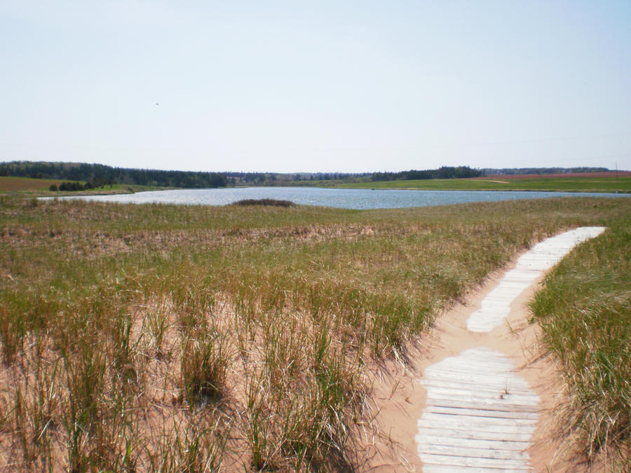 Jitty Path Path by KittyAppa on DeviantArt