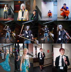 Genericon 2015: Sunday Hall Cosplay shots