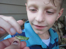 The Boy and the Bug