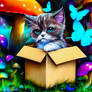 Cute kitten in a box colorful