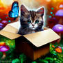 Cute kitten in a box colorful