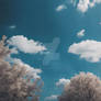 Clouds blue wallpaper