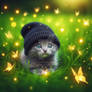 cat in a beanie digital illustration