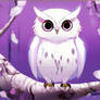 Purple owl cartoon wallpaper HD