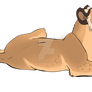 random lioness