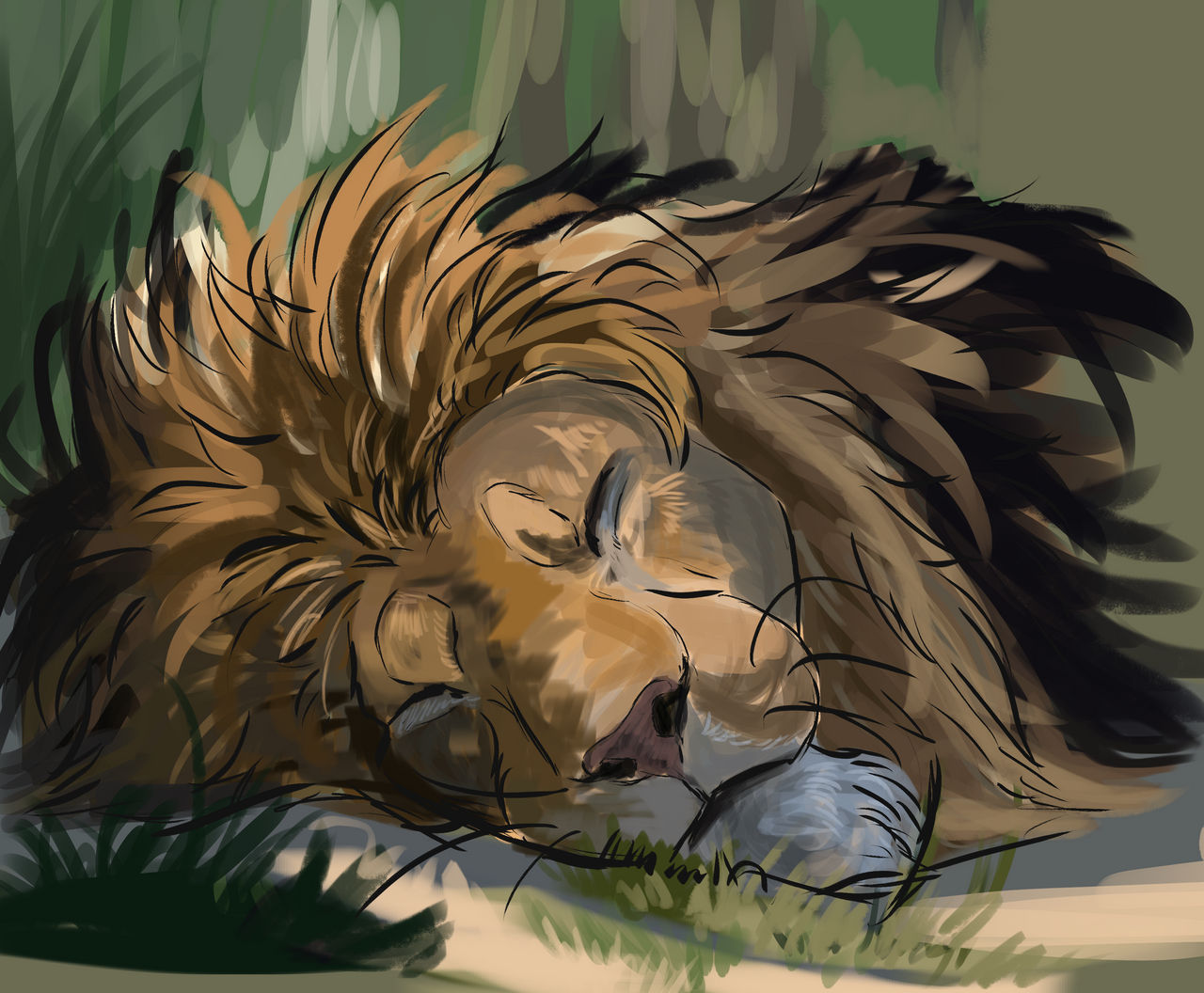 Quick Lion Study