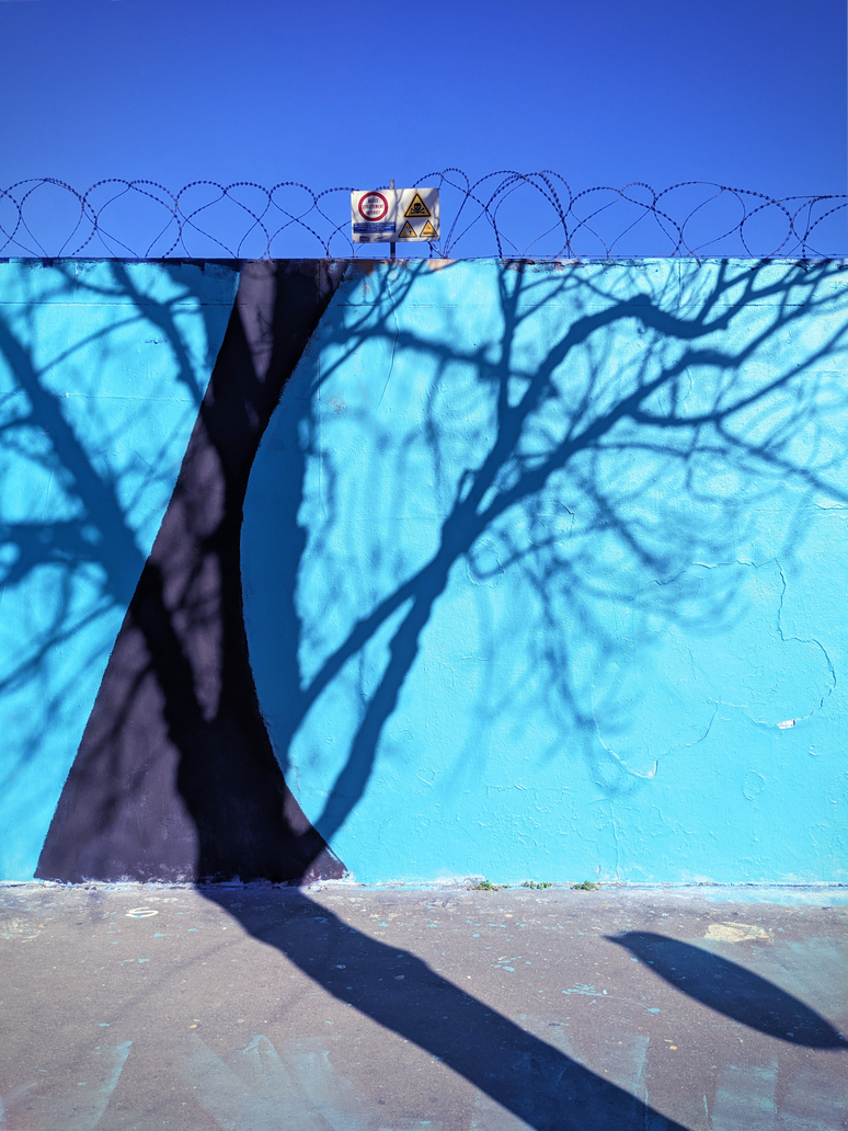 shadow tree by Hiswe on DeviantArt