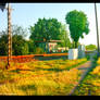 Road train crossing