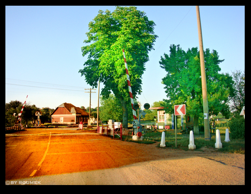 Road train crossing_2