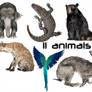 11_Animals_free