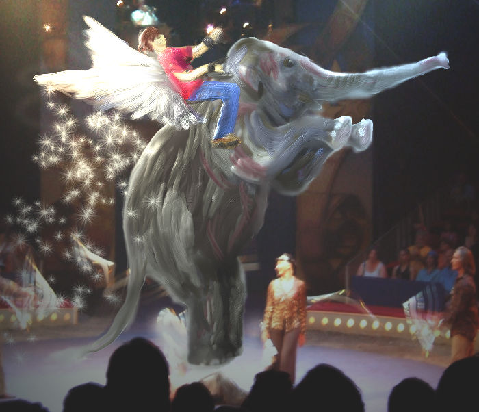 Patsy Circus Circus by patsypoopa on DeviantArt
