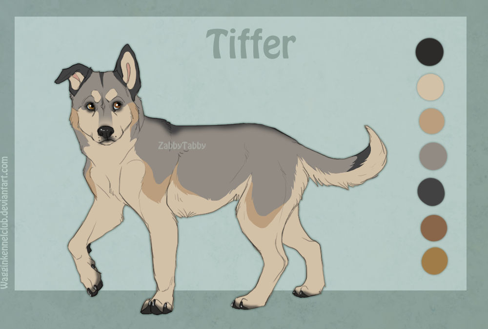 WKC's Tiffer by WagginKennelClub on DeviantArt