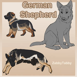 German Shepherd Puppy Lines!