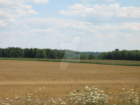 Ontario Farmland 2