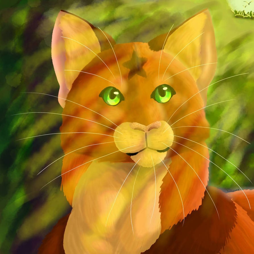 Spring Firestar Sunset Firestar | REMAKE by Dapplesprings on DeviantArt