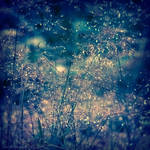 meadows of glory by JoannaRzeznikowska