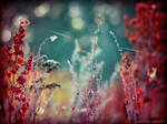 Stop The Summer by JoannaRzeznikowska