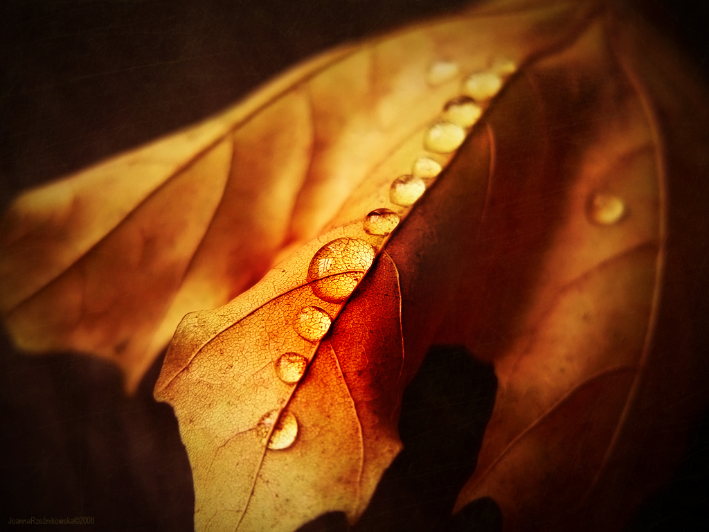 S T A Y_return by JoannaRzeznikowska