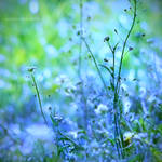 blue spring by JoannaRzeznikowska