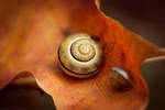 without a name III by JoannaRzeznikowska