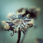 I'll give you all...III by JoannaRzeznikowska