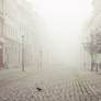 Foggy Day XXI