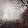 the shelter of the fallen souls II