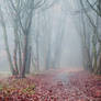 misty days
