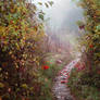 chosen path