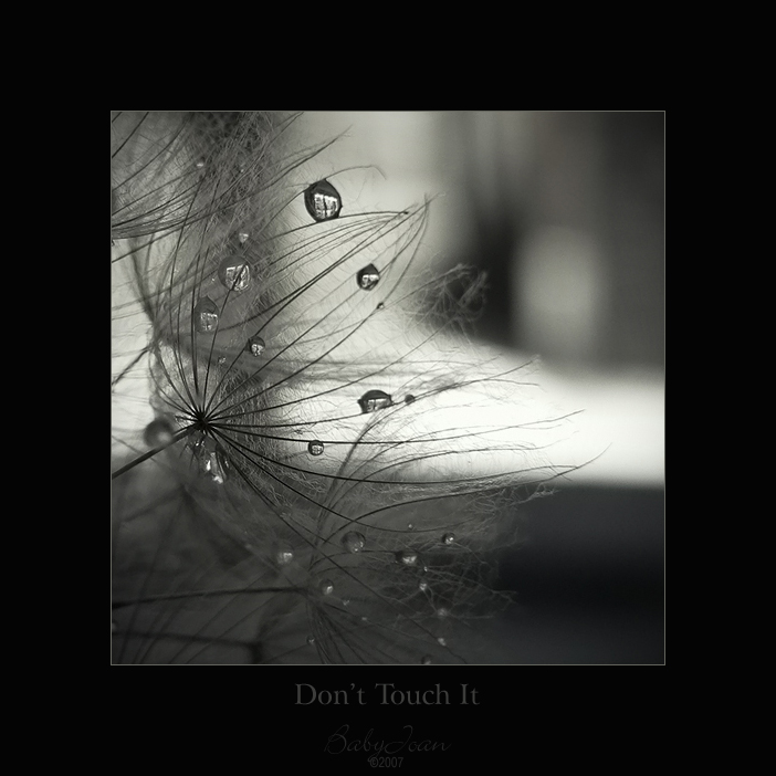 Don't Touch It II