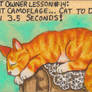 Cat Owner Lesson 14 - Art Card