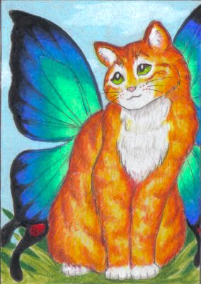 Marmalade Fairy ACEO