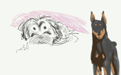 Dogs! Just some sketches Of pooches