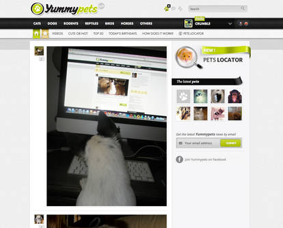 Yummypets - Social Network for Cute Pets v2