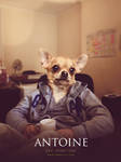 Antoine - Dev' front-end @Yummypets