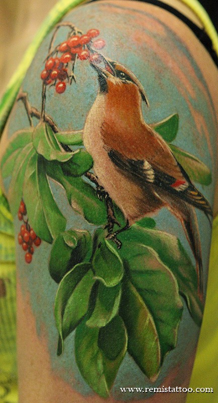 Realistic Bird Tattoo By Remistattoo On Deviantart Realistic Bird Tattoo By Remistattoo On Deviantart