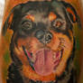 color dog portait tattoo