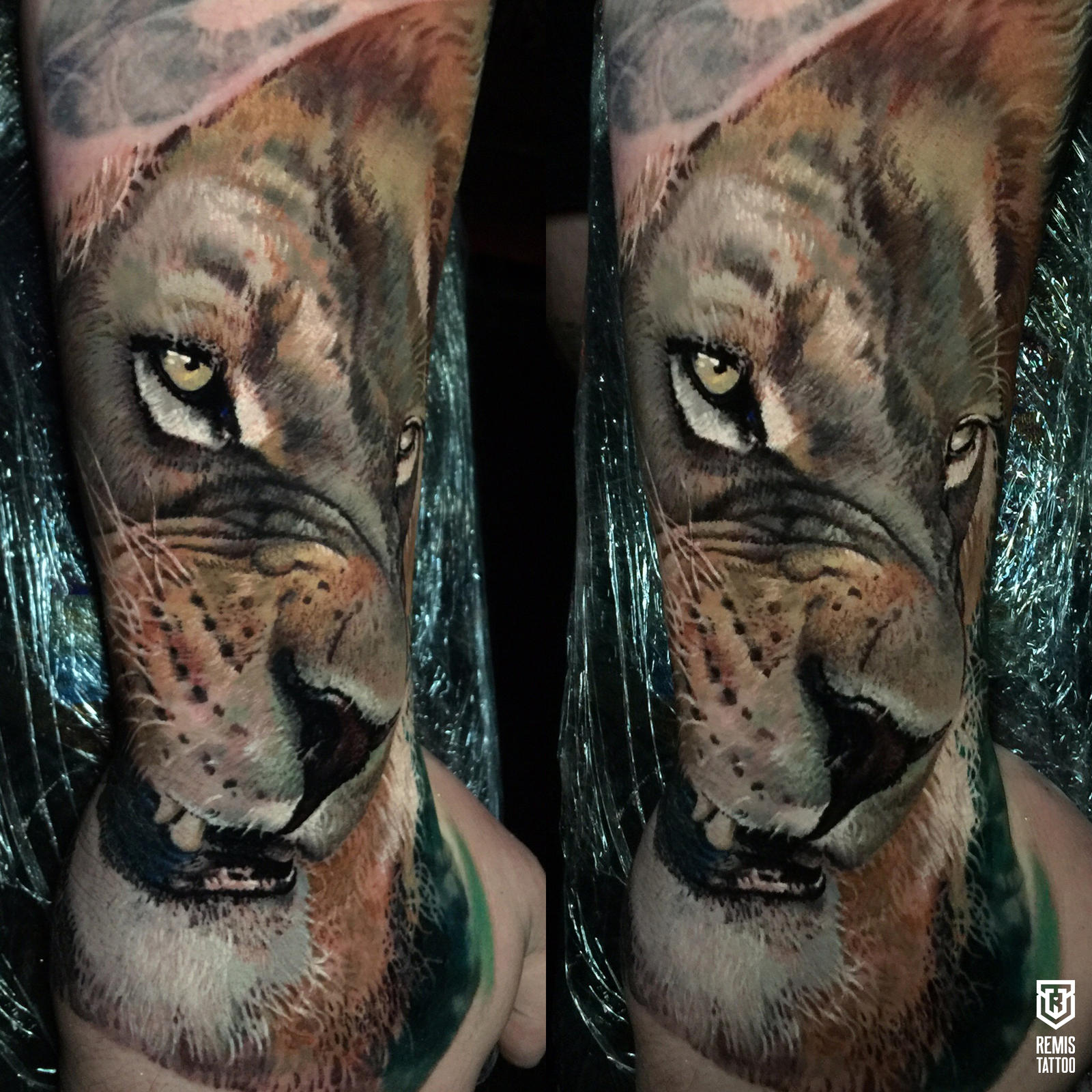 Realistic Colored Lion Tattoo by Remistattoo on DeviantArt