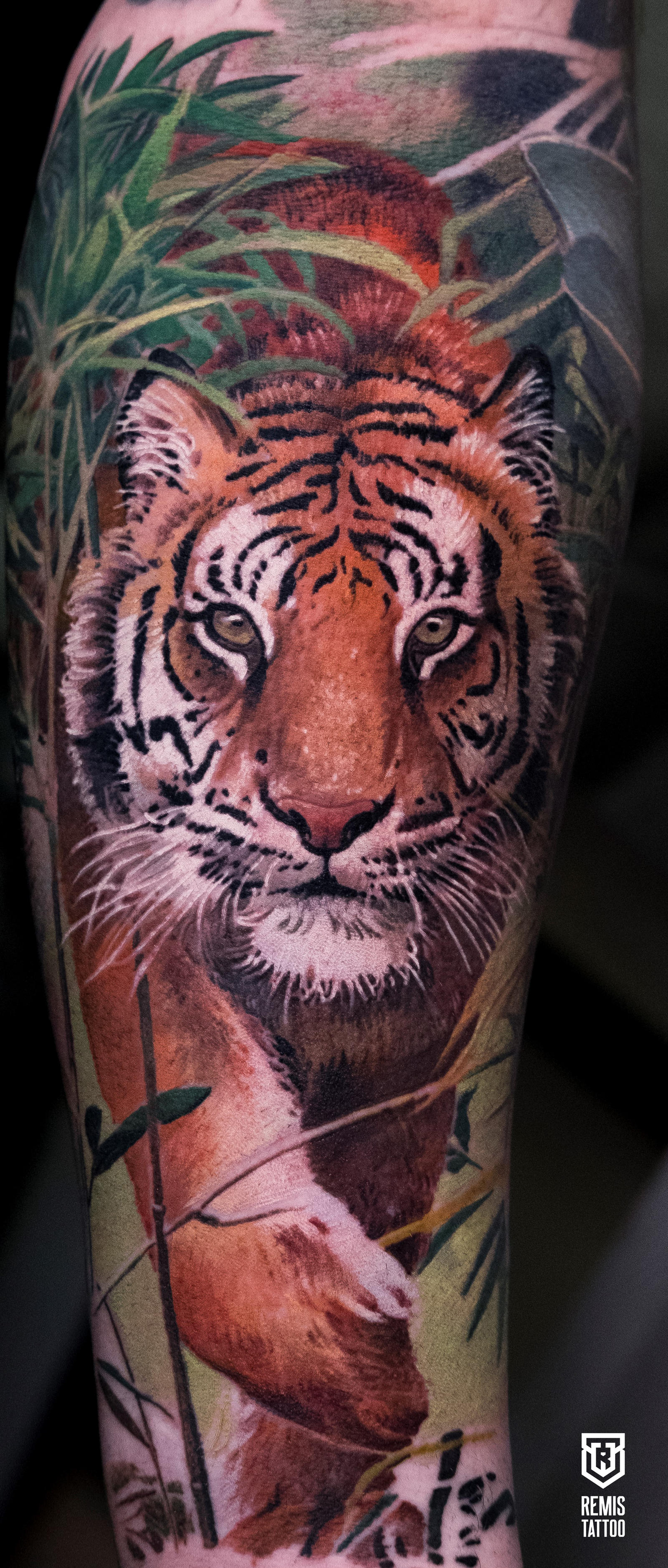 Realistic Colored Tiger Tattoo by Remistattoo on DeviantArt