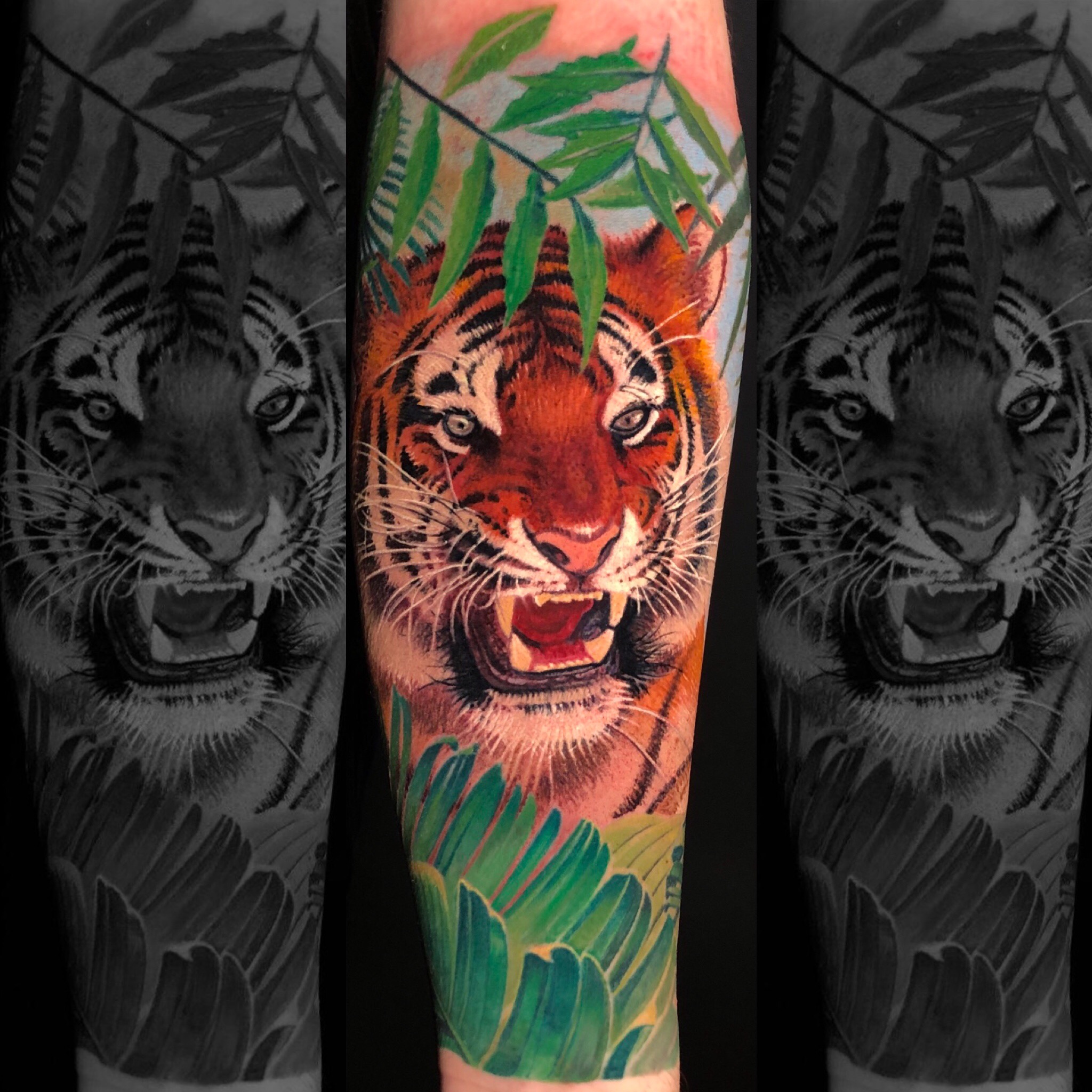 Realistic Color Tiger by Remistattoo on DeviantArt Realistic Color Tiger by Remistattoo on DeviantArt