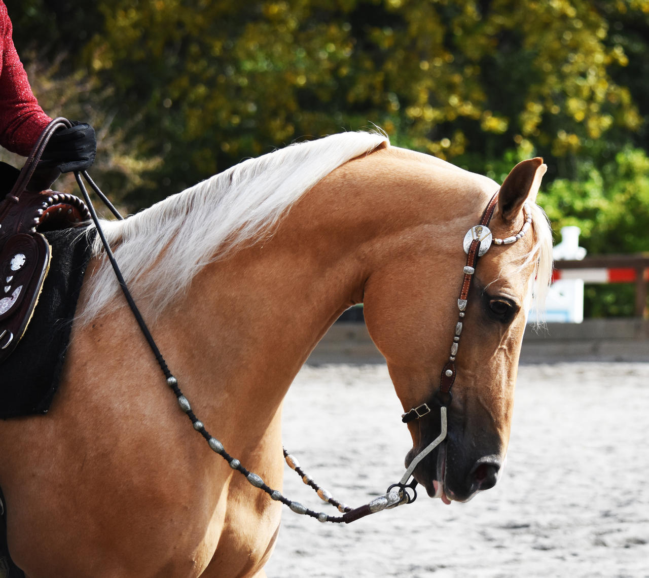 Western Style Horseback Riding 3 by HaleyGottardo on DeviantArt