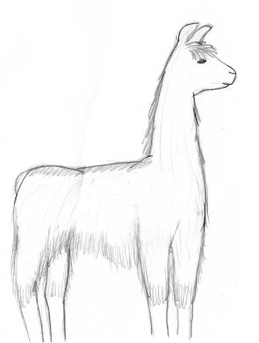 Llama for Gaea