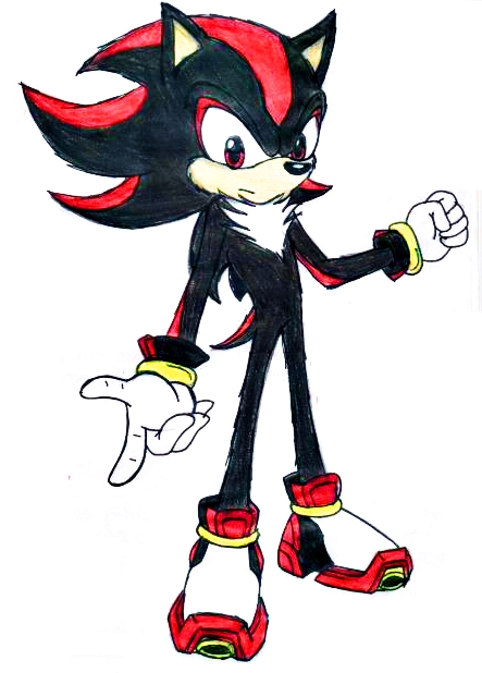 Shadow the Hedgehog.