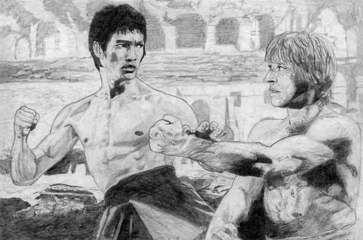 Bruce Lee vs Chuck Norris