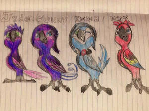 The Macaw Family