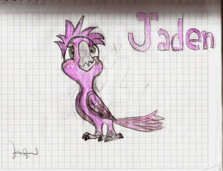 Jaden (the purple macaw)