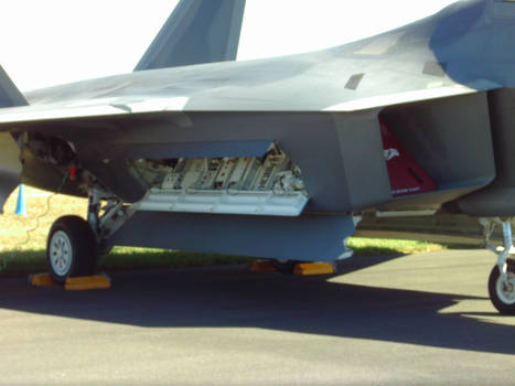 F-22 Raptor - Up Close And Personal #2