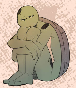 Sad Turtle Lady