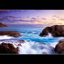 Thistle Cove