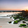 Avoca Beach NSW
